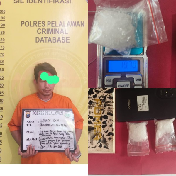 Baru Turun dari Travel, Pria Asal Kampar Dibekuk Satresnarkoba Polres Pelalawan Bawa 2 Paket Sabu