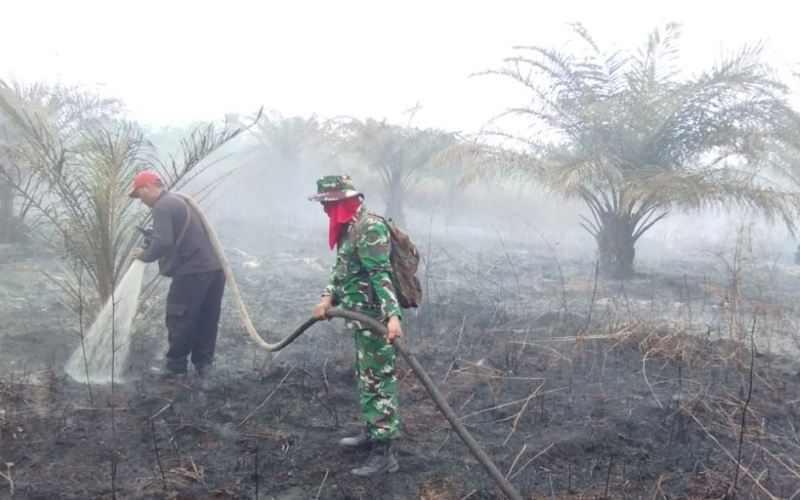 Personil Kodim Dumai Lakukan Penanganan Karhutla di Lahan Gambut Sungai Sembilan