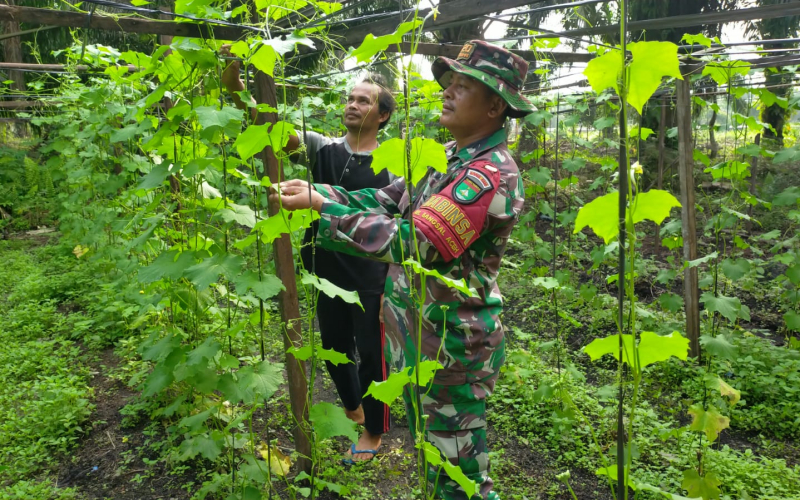 Patroli Karhutla dan Pendampingan Pertanian, Babinsa Bangsal Aceh Libatkan Warga