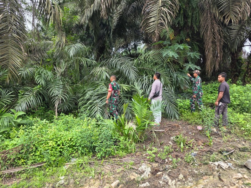 Koptu AKP Hutagalung Laksanakan Patroli Karhutla di Minas Barat