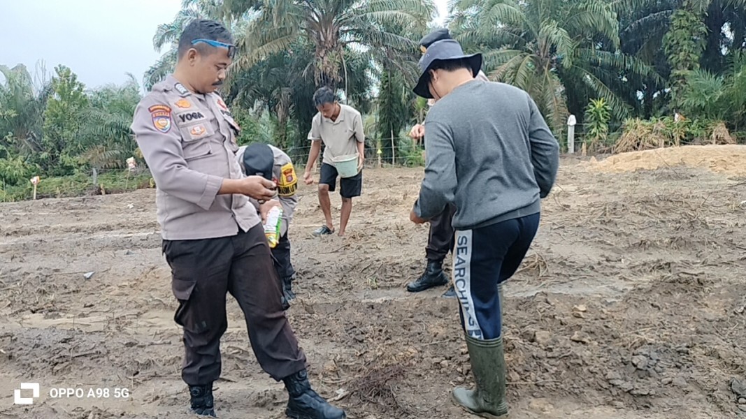 Dukung Swasembada Jagung 2026, Polsek Minas Bersama Kelompok Tani Tanam Jagung Pipil di Rantau Bertuah