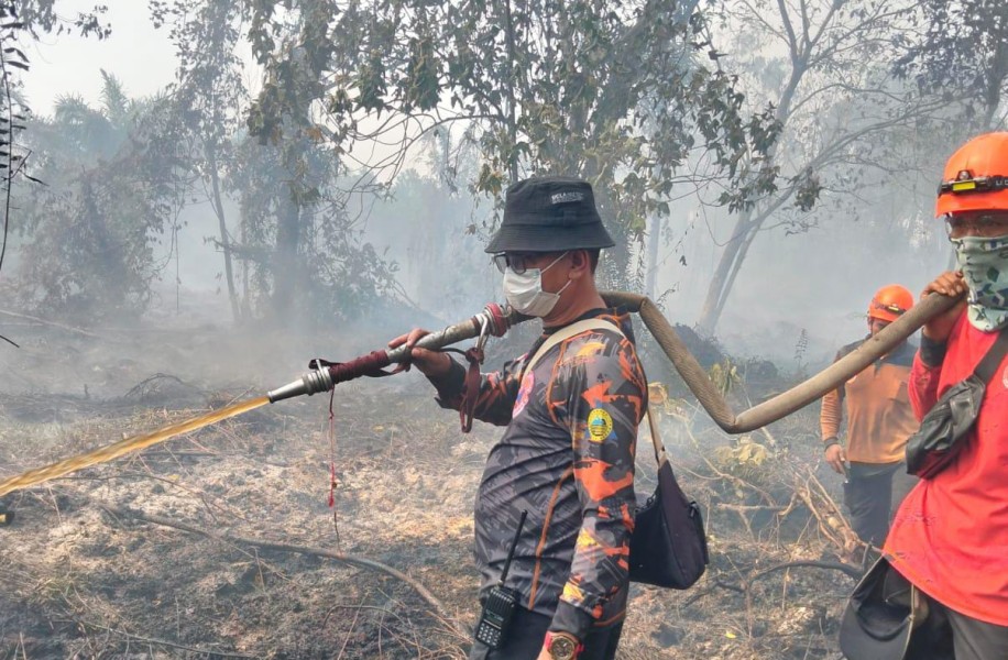 Bupati Inhil Instruksikan BPBD Tangani Karhutla Hanguskan 10 Hektare di Bayas Jaya