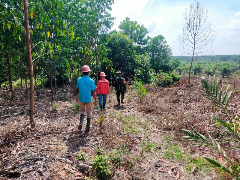 Babinsa Serda Heppy Setyawan Gelar Patroli Karhutla di Tasik Betung