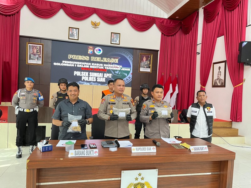 Polsek Sungai Apit Ungkap Peredaran Ganja Kering 2,2 Kg, Satu Tersangka Diamankan