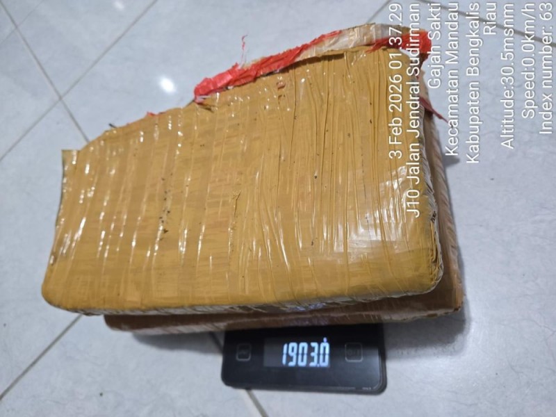 Polisi Tangkap MH di Mandau, Simpan 1,9 Kg Ganja Siap Edar