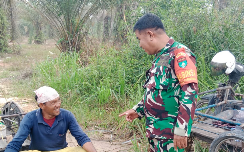 Cegah Karhutla, Babinsa Purnama Patroli Lahan Sekaligus Dampingi Tanaman Cipir