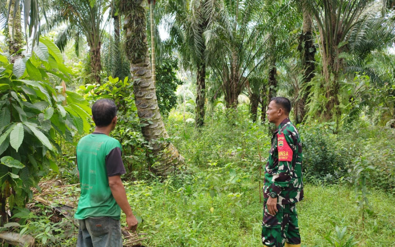 Koramil 03 Ajak Masyarakat Menjaga Kelestarian Hutan dan Lingkungan