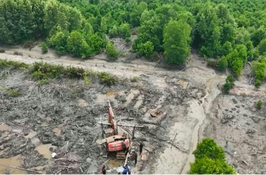 Hutan Dumai Dibabat, Excavator Diamankan Polda Riau, 1 Tersangka Ditahan
