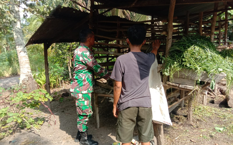 Sosialisasi Babinsa Bagan Keladi, Antisipasi dalam Mencegah PMK