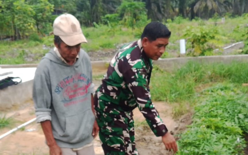 Patroli Karhutla Disertai Penanaman Ubi Jalar, Babinsa Dumai Perkuat Kepedulian Lingkungan