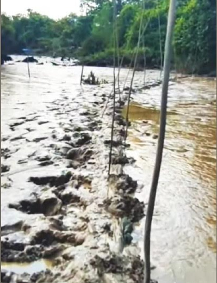 Nelayan Sungai Siak Pekanbaru Resah, Penggunaan Belat Kelambu Kian Merajalela