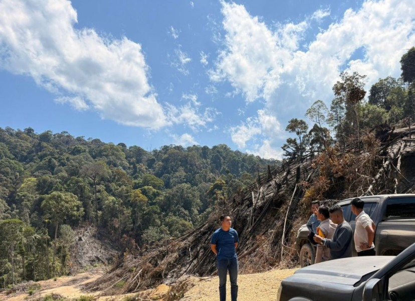 Terbongkar! Modus Bakar Hutan untuk Tanam Sawit, 3 Pelaku Dibekuk di Rokan Hulu