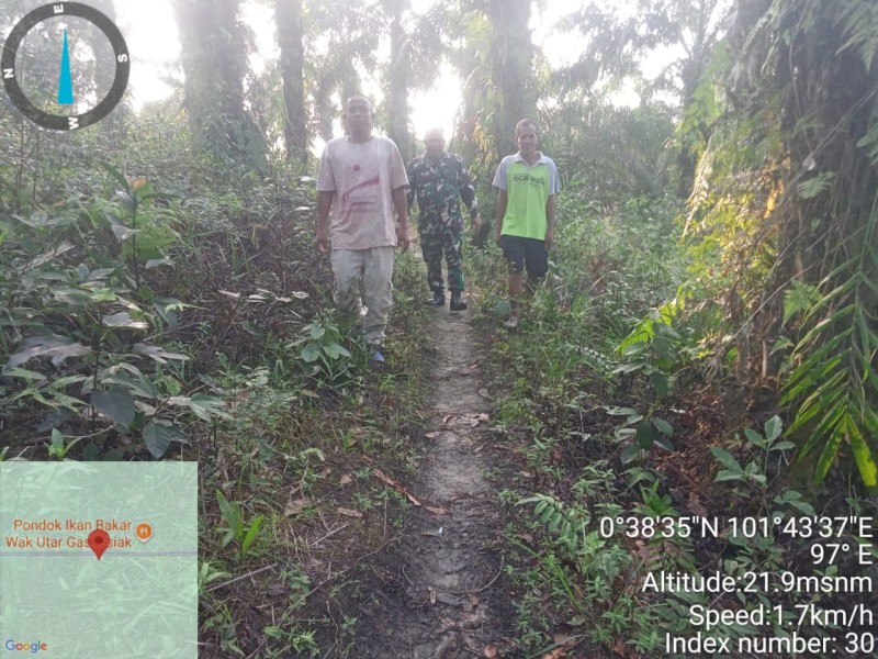 Babinsa Sertu Rudy A. Panjaitan Gelar Patroli Karhutla di Koto Gasib, Nihil Titik Api