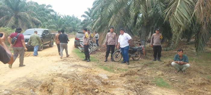 BPN Rohil Turun ke Lokasi Sengketa Lahan 42 Hektare, Pengukuran Sempat Terkendala