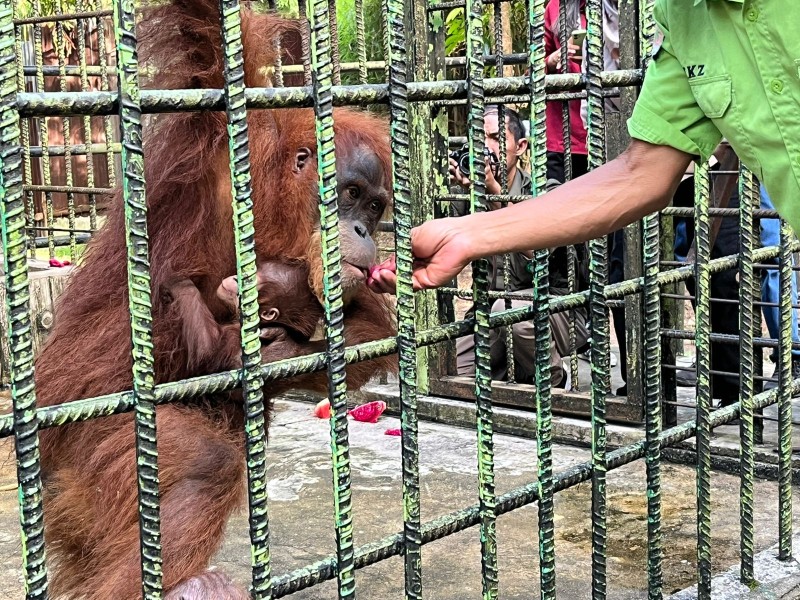 Lahir dari Susi dan Yongki, Ade Jadi Simbol Harapan Baru