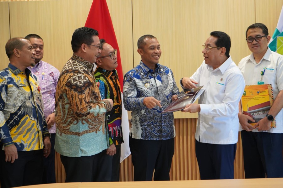 Temui Wamenkes, Dinkes Inhu Usulkan Tambahan Alkes hingga Trauma Center RSUD Indrasari