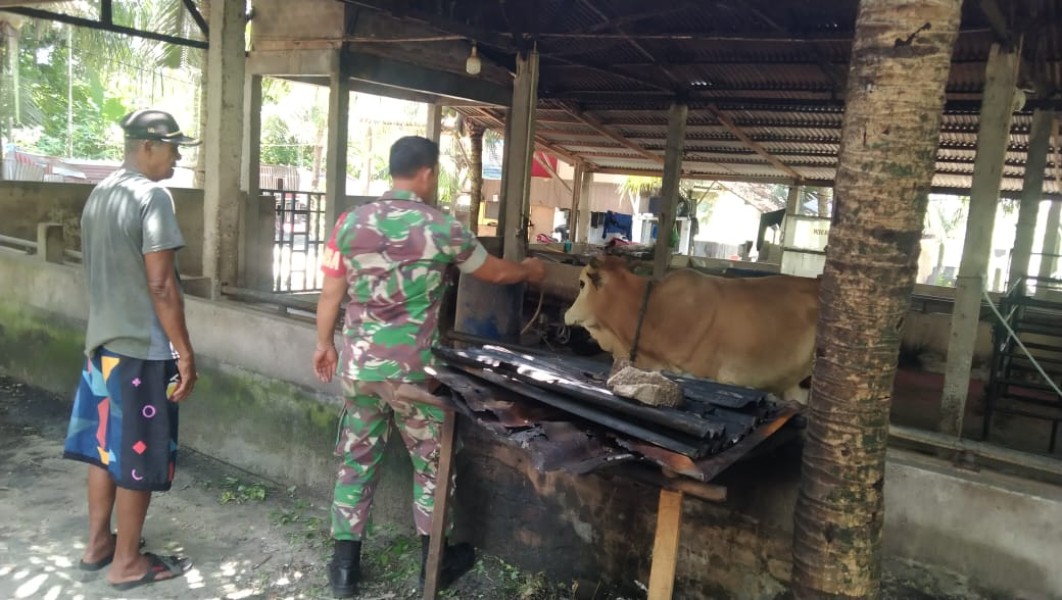 Koptu Togi S. Babinsa Koramil 04/Perawang Dampingi Tim URC Lakukan Surveilans PMK di Perawang Barat