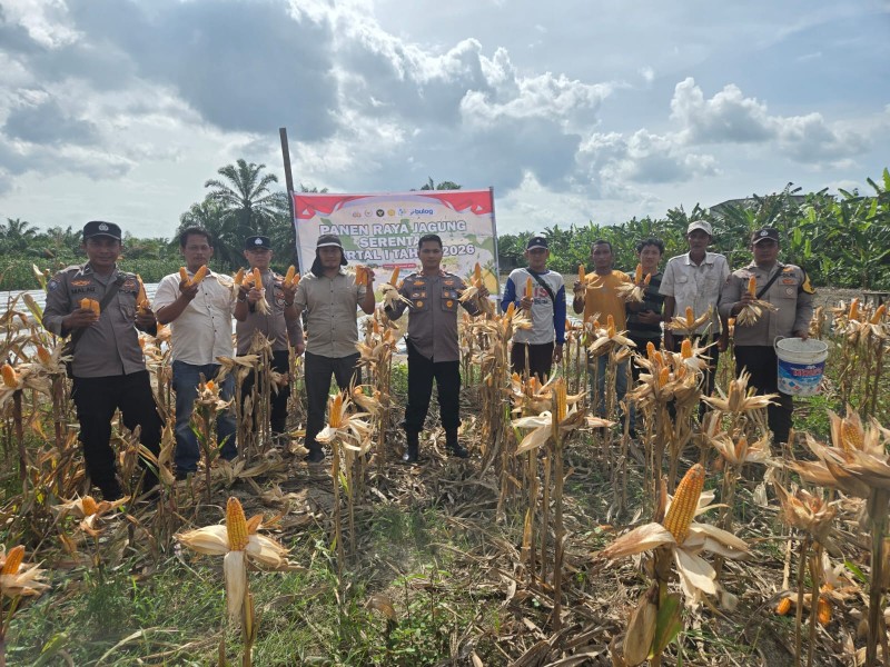 Panen Raya Jagung Pipil di Sungai Sembilan, Polri dan Petani Bersinergi Dukung Ketahanan Pangan Nasional