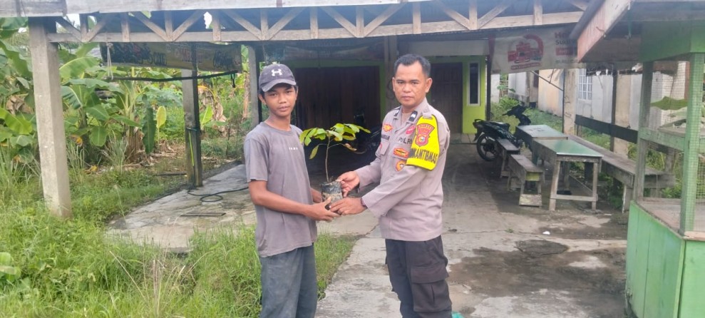 Bhabinkamtibmas dan Warga Kompak Tanam Pohon Matoa