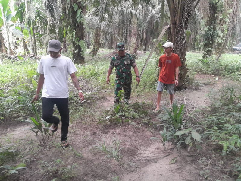 Babinsa Sertu Venus Luberto Patroli Karhutla di Perawang, Tidak Ditemukan Titik Api