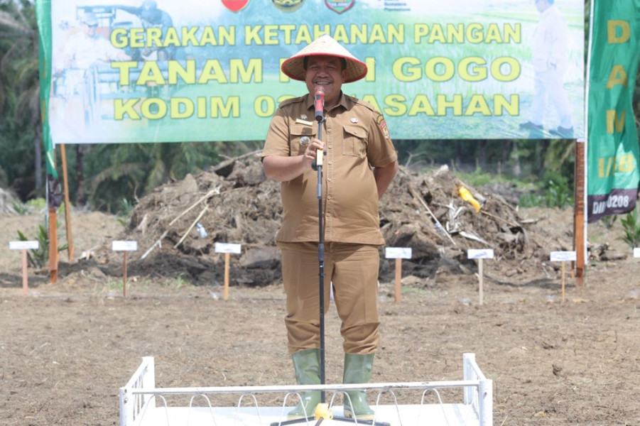 Pemkab Asahan dan Kodim 0208/Asahan Bersinergi Tanam Padi Gogo di Bandar Pulau