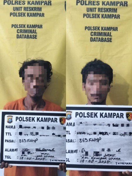 Polsek Kampar Sikat Pencuri Sawit, Puluhan Tandan dan Sepeda Motor Jadi Barang Bukti