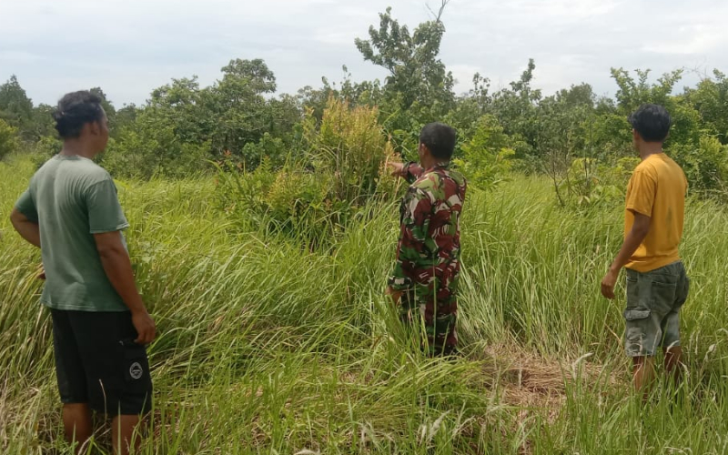 Cegah Karhutla, Babinsa Sungai Sembilan Sisir Lahan Gambut Kilang Manis