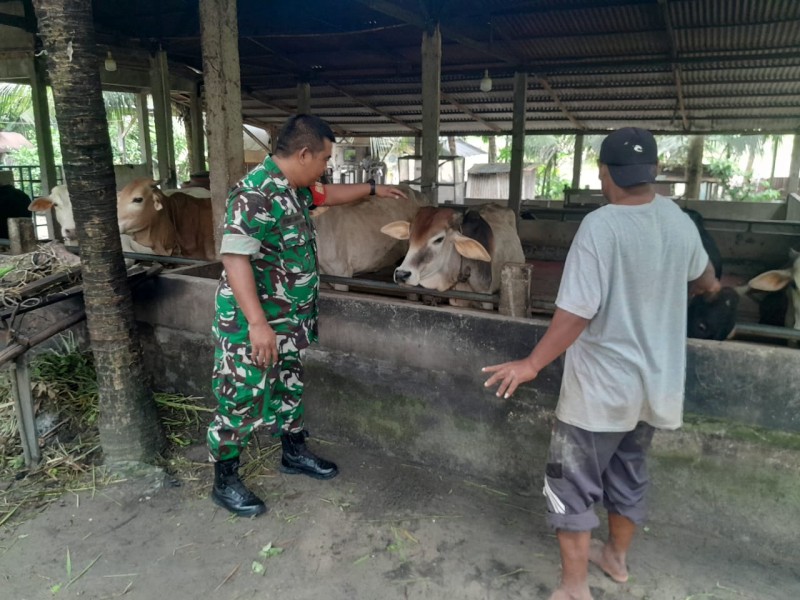 Babinsa Koramil 04/Perawang dan Tim URC Sukses Laksanakan Surveilans PMK di Perawang Barat