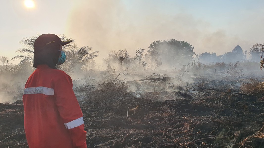Kisah Srikandi Pengendali Karhutla Riau, Lawan Angin-Kesulitan Air
