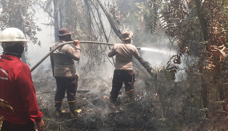 PTPN IV PalmCo Siagakan 660 Personel Hadapi Karhutla di Riau