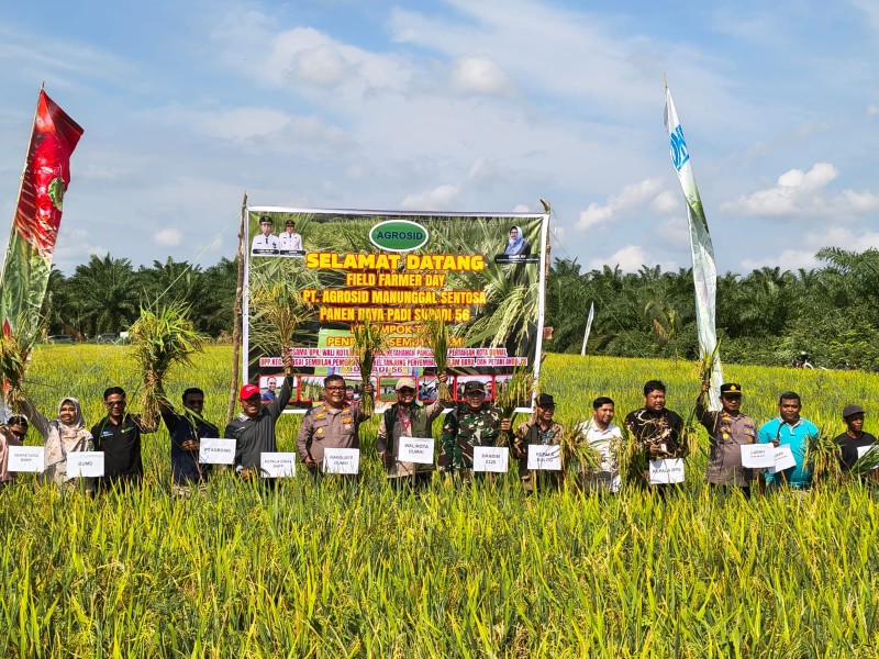 Bulog Serap 3 Juta Ton Beras, Dumai Terus Optimalkan Pembelian Gabah Petani
