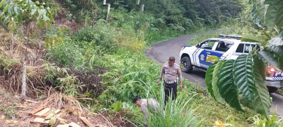 Kecelakaan Tunggal di Jalan Alternatif Tanjung Agung-Nangai Tayau, Pemotor Meninggal Dunia