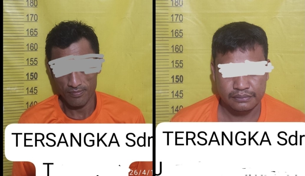 Polsek Langgam Ringkus Dua Pencuri Sawit, Aksi Terbongkar Saat Patroli Malam
