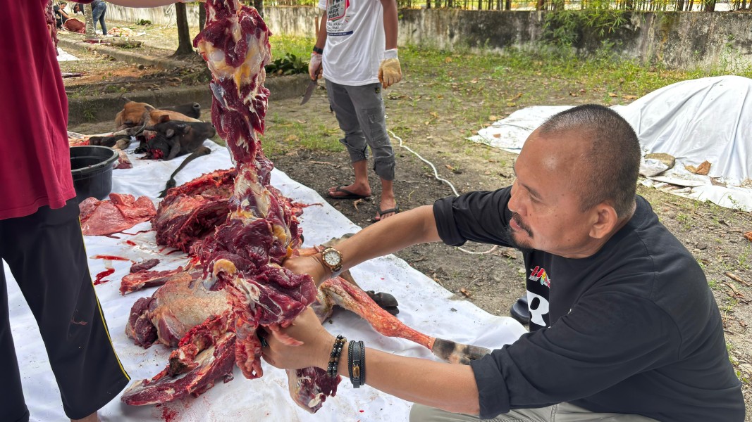 PWI Riau Sembelih 6 Sapi dan 1 Kambing pada Iduladha 1447 H