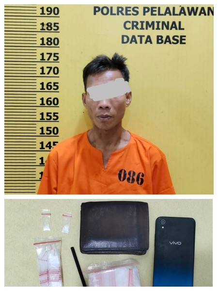 Polsek Langgam Ungkap Kasus Narkoba, Pria Asal Sumatera Utara Diamankan Bersama Diduga Sabu