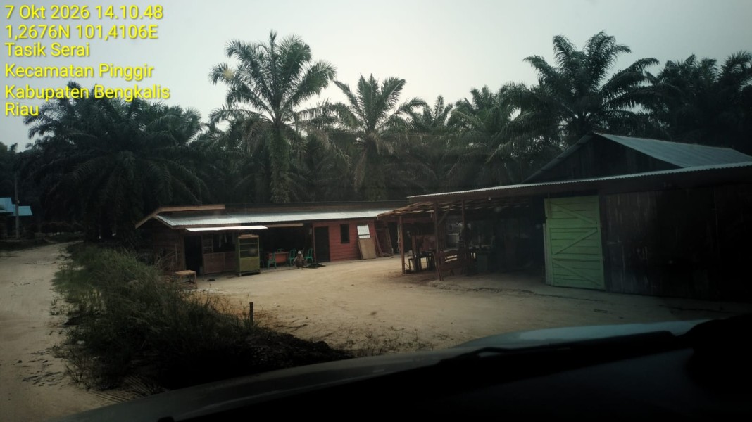 Diduga Barang Bukti Illegal Logging di Talang Muandau Menghilang, Aktivis Soroti Lambannya Penanganan