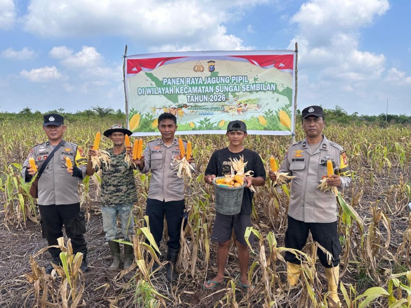 Panen Jagung 2 Hektar di Sungai Sembilan Hasilkan 1,2 Ton, Polri Dukung Ketahanan Pangan Nasional