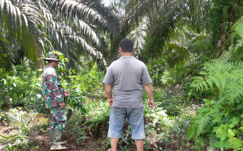 Babinsa Bangsal Aceh Intensifkan Patroli dan Sosialisasi Karhutla di Sungai Sembilan
