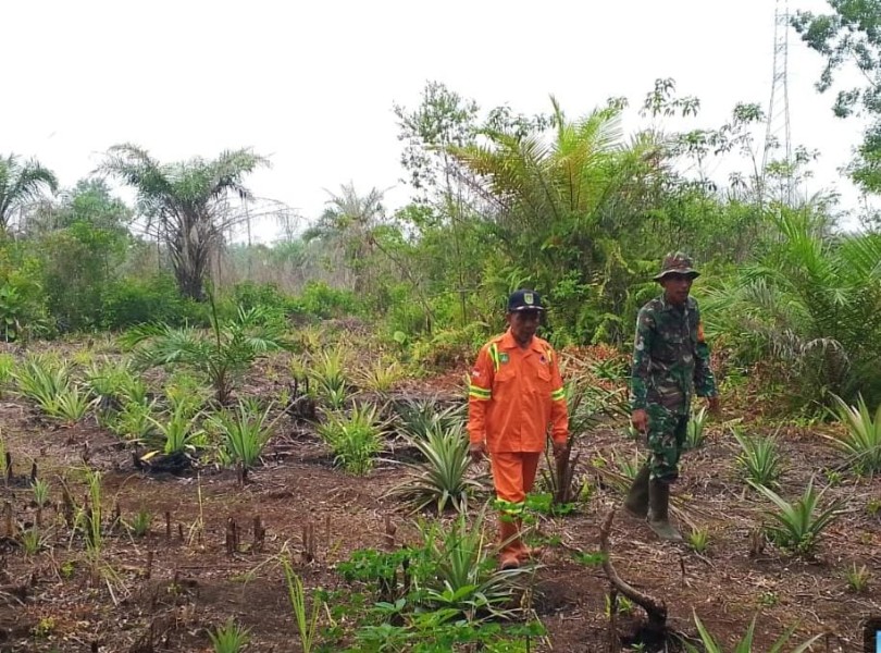 Cegah Karhutla, Babinsa dan MPA Patroli di Wilayah Rawan Bukit Batrem