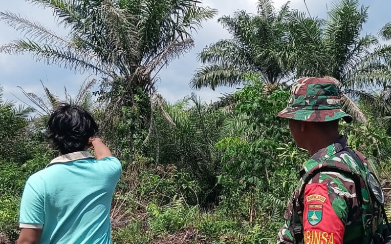Cegah Karhutla, Babinsa Sisir Titik Rawan di Kelurahan Guntung