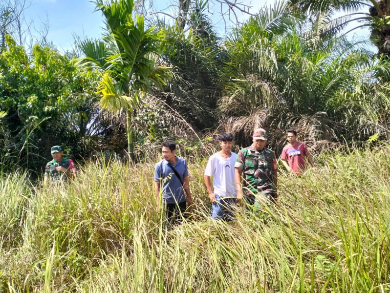 Babinsa Koramil 03/Minas Laksanakan Patroli Karhutla, Situasi Terkendali Tanpa Titik Api
