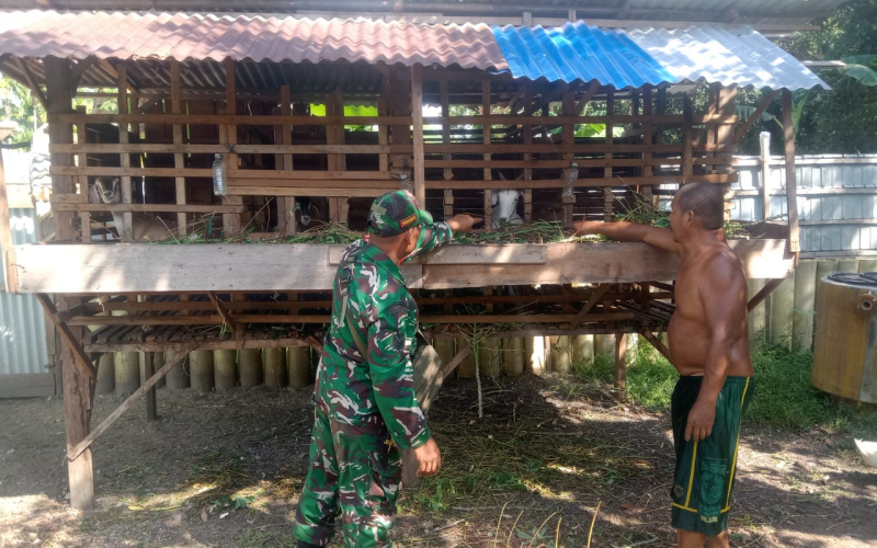 Babinsa Mekarsari Cek Kesehatan Ternak Warga, Pastikan Bebas PMK