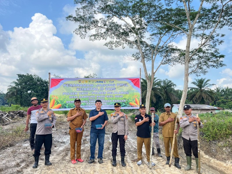 Polsek Ukui Tanam Jagung Kuartal II Wujudkan Swasembada Pangan di Kampung Baru