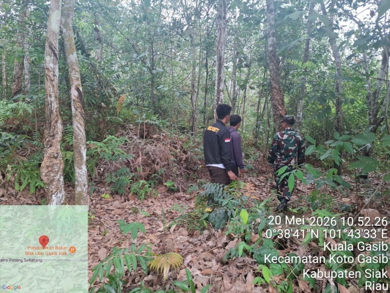 Koptu L. Sigalingging Laksanakan Patroli Karhutla di Kuala Gasib, Situasi Aman Tanpa Titik Api