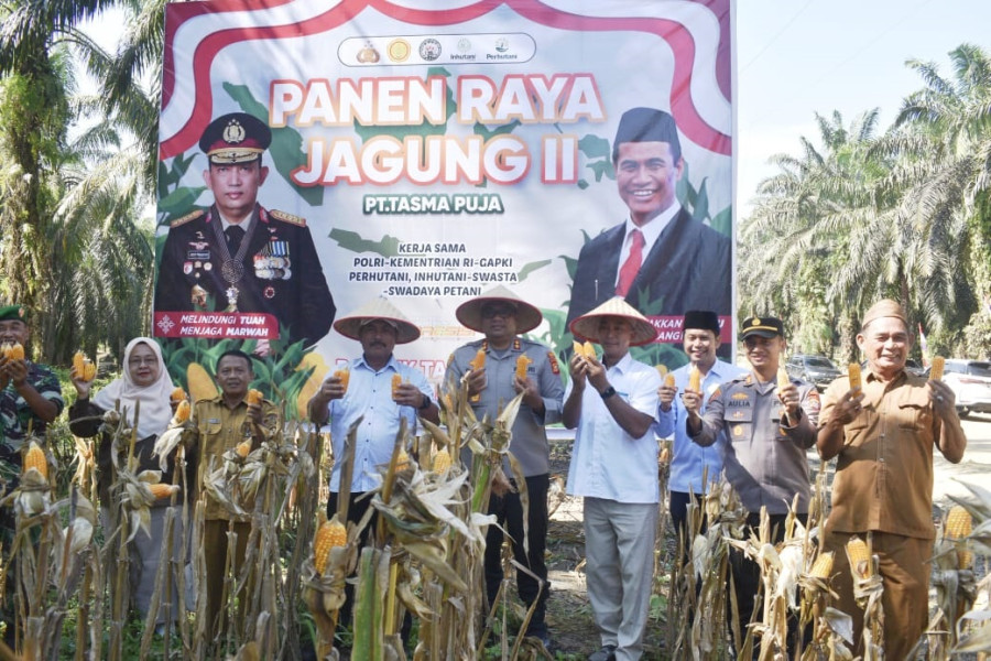 Dukung Ketahanan Pangan, PT. Tasma Puja Panen Raya Jagung Kuartal II Bersama Polres Kampar