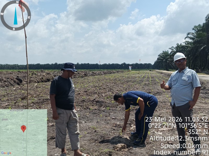 Polsek Siak Hulu Cek Perkembangan Penanaman Jagung Kuartal II Bersama KOPPSA-M