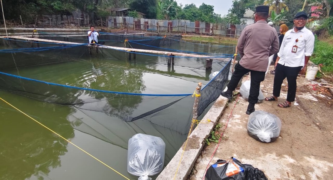 Perkuat Ketahanan Pangan Nasional, Polsek Pasir Penyu Sulap Lahan Pekarangan Jadi Kolam Ikan Produktif