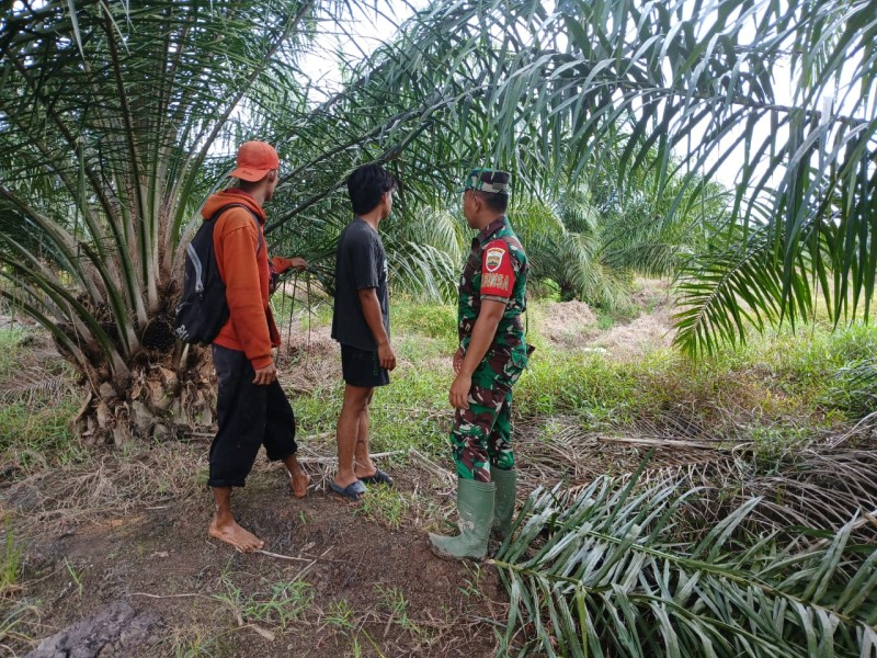 Patroli Rutin, Babinsa Koramil 06/Kateman Imbau Warga Waspada Bahaya Karhutla