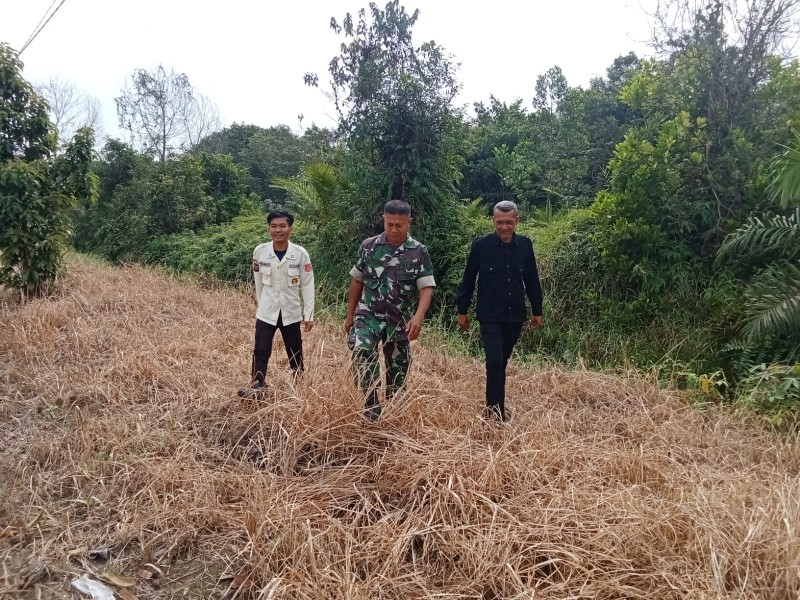 Sertu L.Syahdanur Patroli Karhutla di Maredan, Tidak Ditemukan Titik Api dan Asap