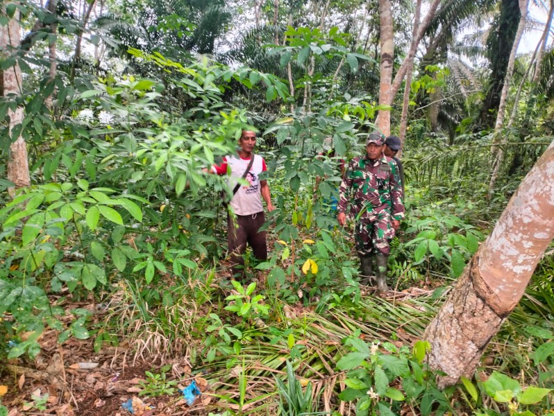 Serma Risman Girsang Patroli Karhutla di Sungai Selodang Siak, Pastikan Wilayah Aman dari Titik Api